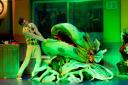 The Little Shop of Horrors performance