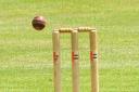 Cricketers get ready for King Alfred Trophy