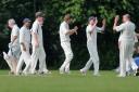 Old Basing celebrate a wicket