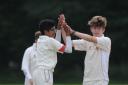 Odiham's Arthur Rowe-Jones (right) clebrates a wicket against St Mary's