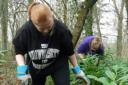 Students help to restore ancient woodland at Marwell