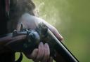 Almost 70 children in Hampshire given gun licences, new data reveals
