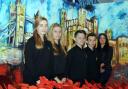 Pupils at The Hurst Community College emulated the poppy installation at the Tower of London
