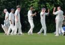 Old Basing celebrate a wicket