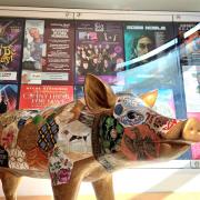 Brand new 18th Hampshire Hog added to art trail in Basingstoke