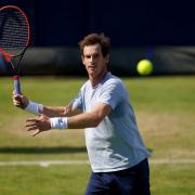 Andy Murray says he think's there's a 'good chance of something happening' at Wimbledon