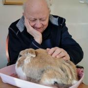 Care home residents experience surprise visit from a range of animals