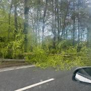 A fallen tree causing delay in Basingstoke