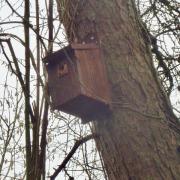 One of the bird boxes created