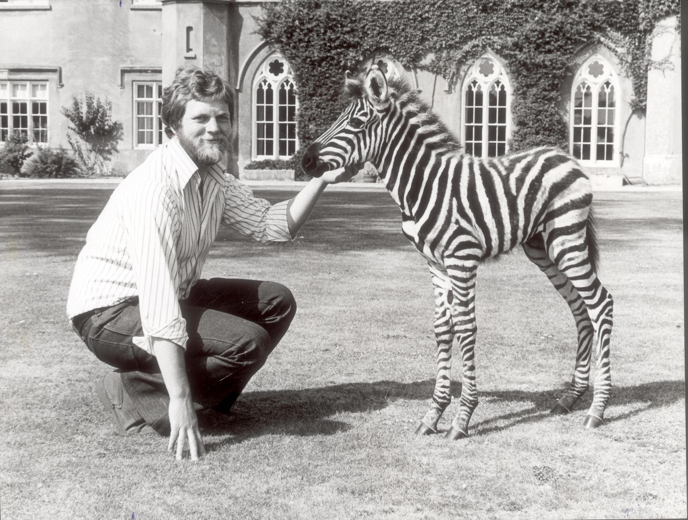 Heritage. David ASTON WITH BABY ZEBRA, MArwell Zoo, 1976