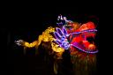 Promotional images for this years Lantern Parade event 