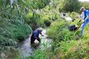 Take part in Loddon Rivers Week (Image: The South East Rivers Trust)