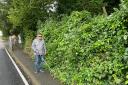 'Frustrated' Blind man from Overton asks council to clear footpaths again