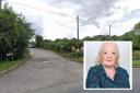 Cllr Jo Slimin (inset) has called for Skates Lane, Tadley, to be removed from the draft local plan