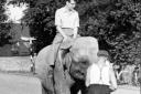 Max Bygraves enters the village on an elephant