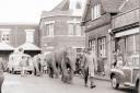 The elephants leave the railway station in 1962