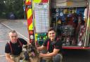 Firefighters rescued a dog from a flat fire