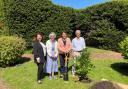 Basingstoke MP plants tree after runners raise funds at local 5k event