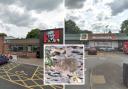 Rats spotted at McDonald's and KFC Leisure Park restaurants
