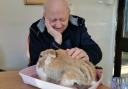 Care home residents experience surprise visit from a range of animals