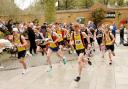 Runners in last year's Basingstoke Festival 5k