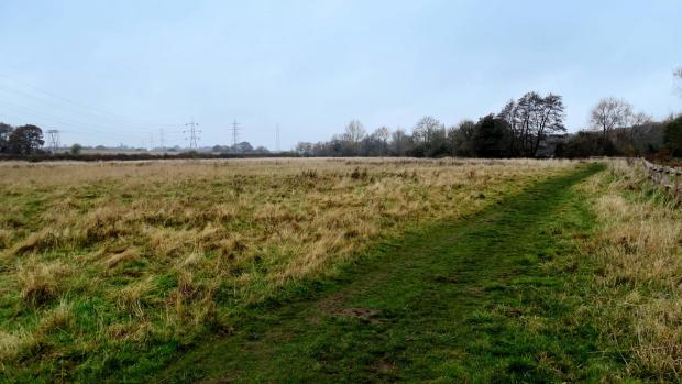 Basingstoke Gazette: Open area in Whitewater Meadow