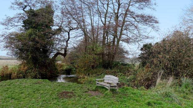 Basingstoke Gazette: Whitewater River and bench located in White water Meadow