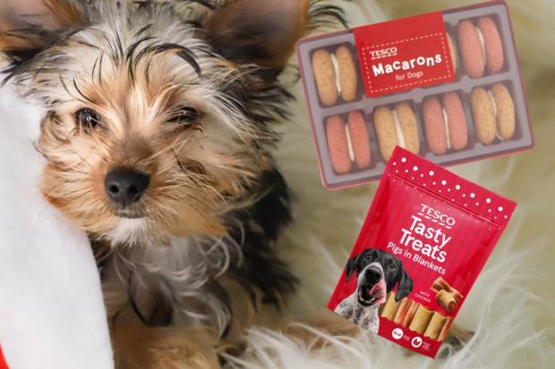 Basingstoke Gazette: Tesco dog snack Christmas range (Tesco)