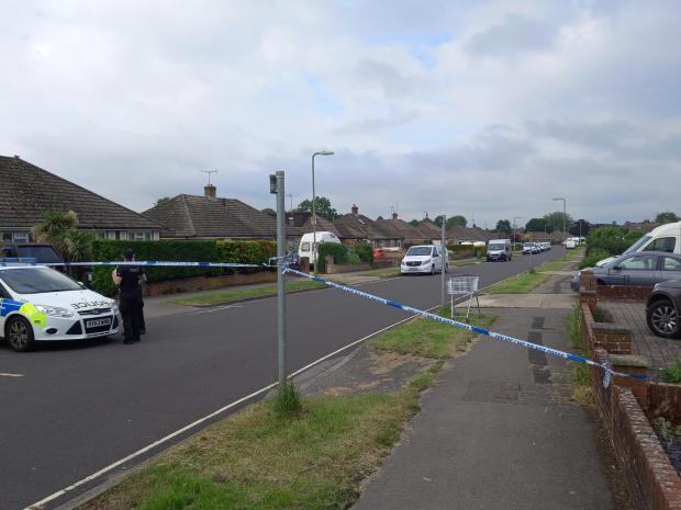 A double murder probe was launched after two people were killed on Buckland Avenue in June.
