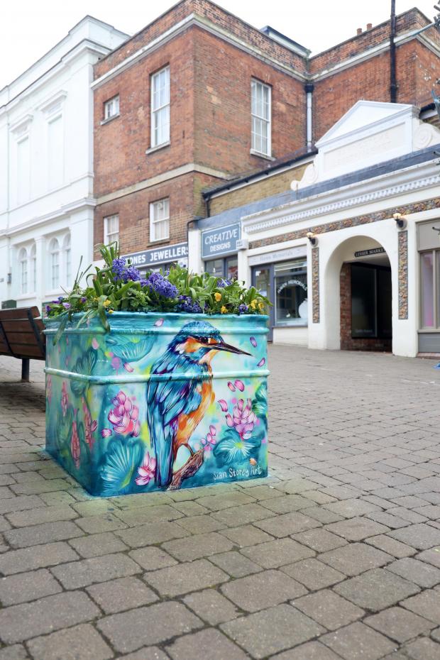 Basingstoke Gazette: Sian Storey has been brightening up Basingstoke with her street art
