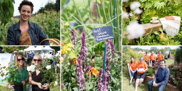 Basingstoke Gazette: BBC Gardeners World will return