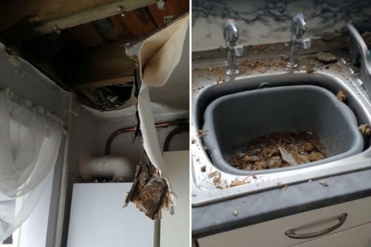 Left: Jane Radwell's kitchen ceiling that crashed in the middle of the night; Right: The mess that the fallen ceiling left in her kitchen