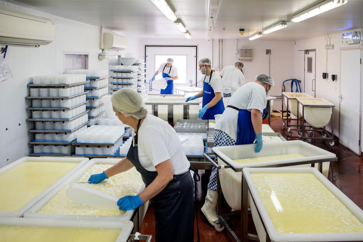 Hampshire Cheese Company has been given permission for a new production facility