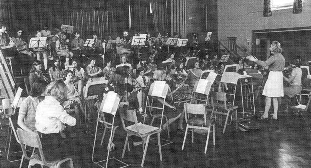 Basingstoke Gazette: The Harriet Costello orchestra