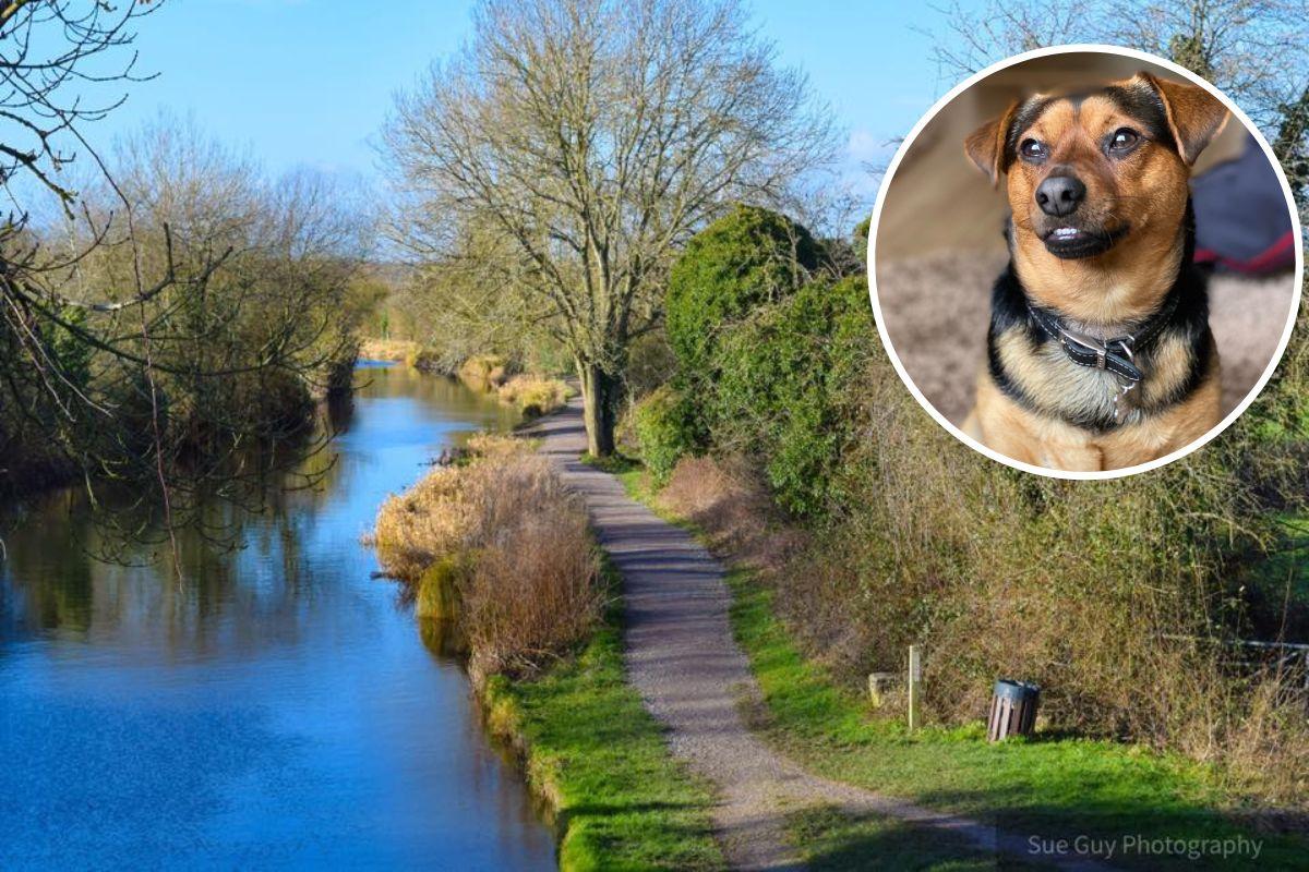Dog owners given urgent warning as Basingstoke canal water levels fall