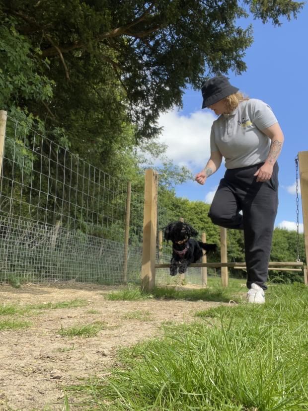 Basingstoke Gazette: Megan giving a dog some exercise