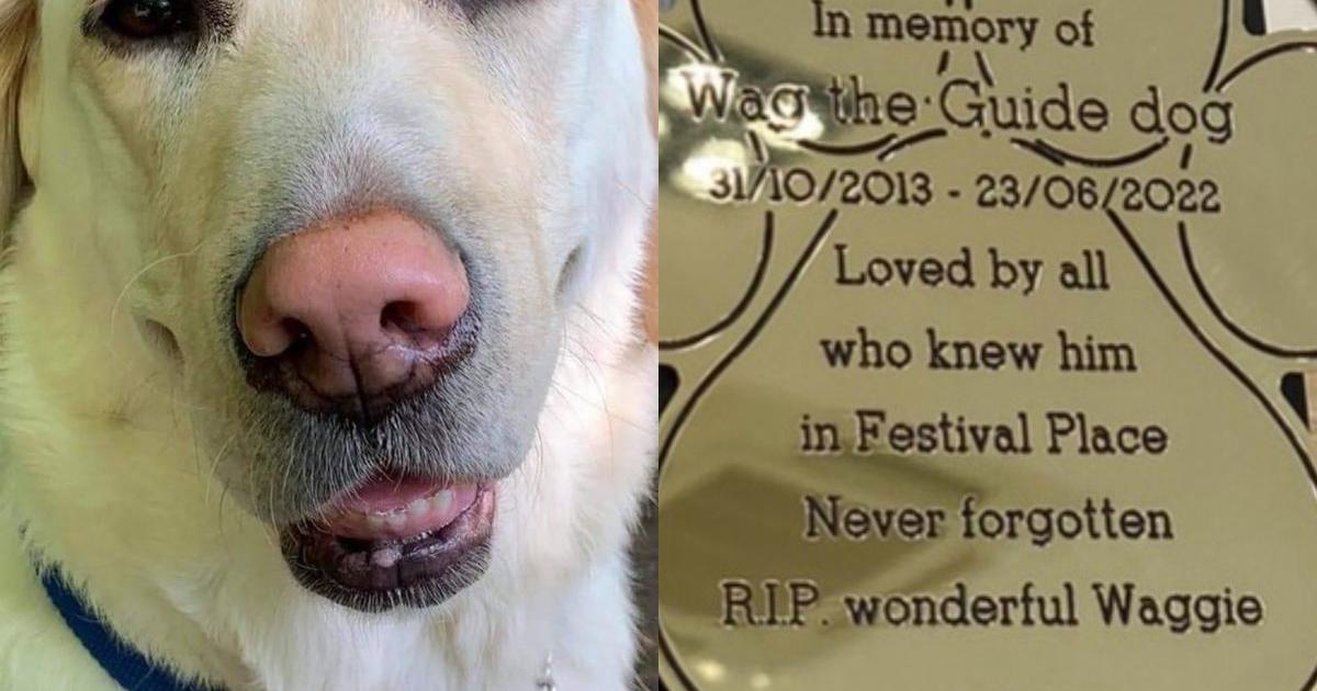 Basingstoke's Festival Place puts up a plaque in memory of guide dog Wag