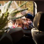 Driving with a Christmas tree in your car could land you a £300 fine