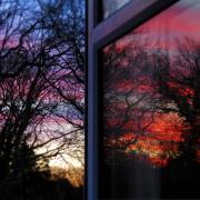Darren Burton's epic photo from the bedroom window