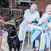 Residents enjoyed The Lawn's first dog show