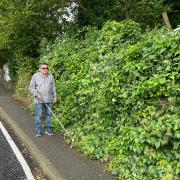 'Frustrated' Blind man from Overton asks council to clear footpaths again