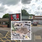 Rats spotted at McDonald's and KFC Leisure Park restaurants