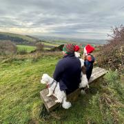Five beautiful country walks in the South Downs this Christmas
