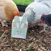 Gruffalo creator bringing new story to life at Birdworld this Easter