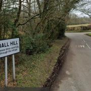 The plan is to build four houses on land adjacent to Gore End Road in Ball Hill