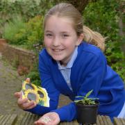 Olivia Doran getting ready for the Communicare plant sale