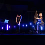 FitkinWall's Harp and Electronica show