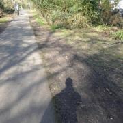 A section of Lovers' Walk in Southampton Common where the grass verge has been over run. Picture: Southampton City Council