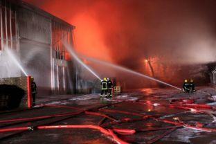 Over 100 firefighters tackle the blaze at Bessemer Park