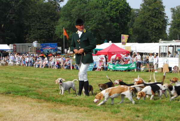 Hampshire Country Sports Day returns to Tichborne Park near Alresford in September